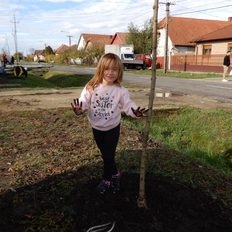 Közösségi faültetés Berettyóújfaluban 62